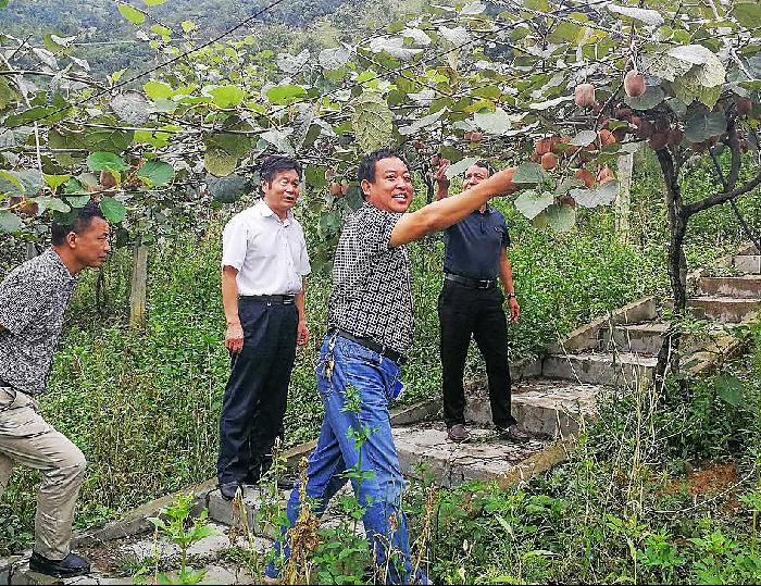 张吉平:扶贫路上践初心