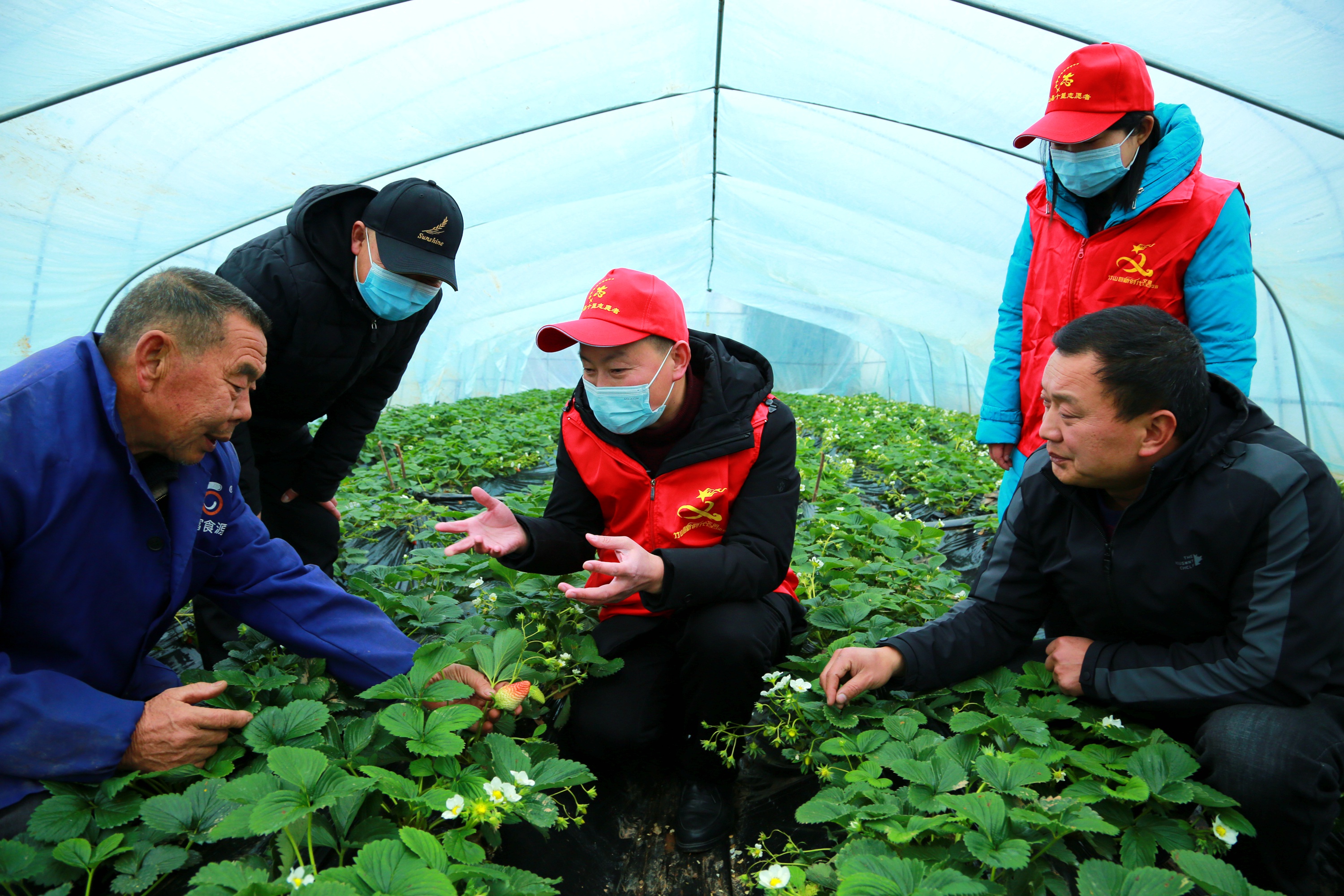 竹山县邵斌简历图片