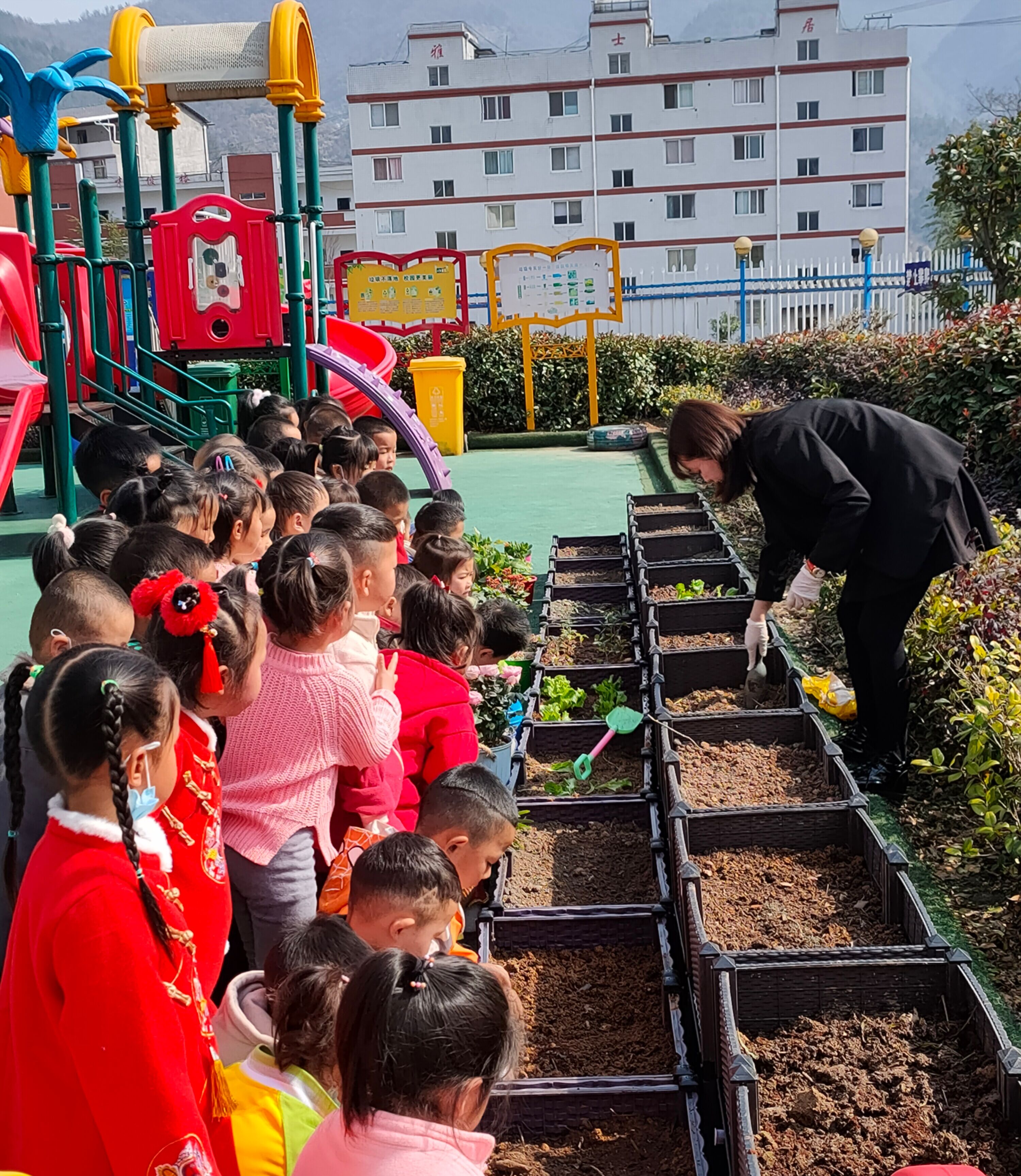 幼儿园种植园美篇图片