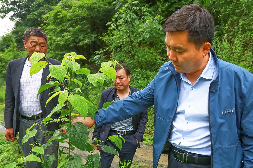 刘凯:大山深处赤子情