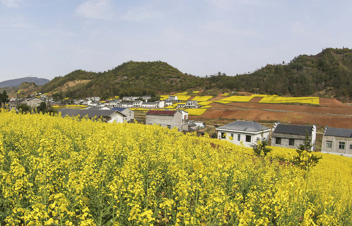 竹山县擂鼓镇西河村图片