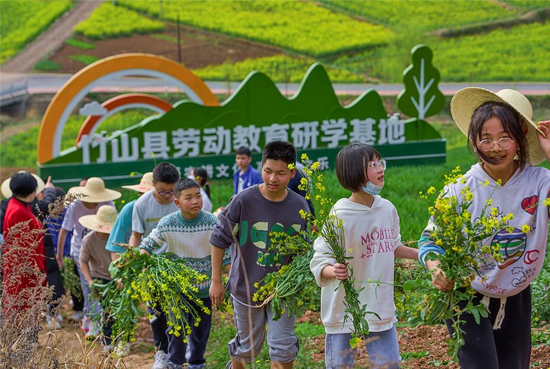 县青少年活动中心组织学生在田间地头上好劳动教育实践课